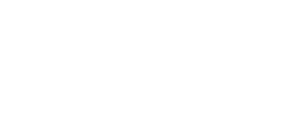 hlf_bnr_system